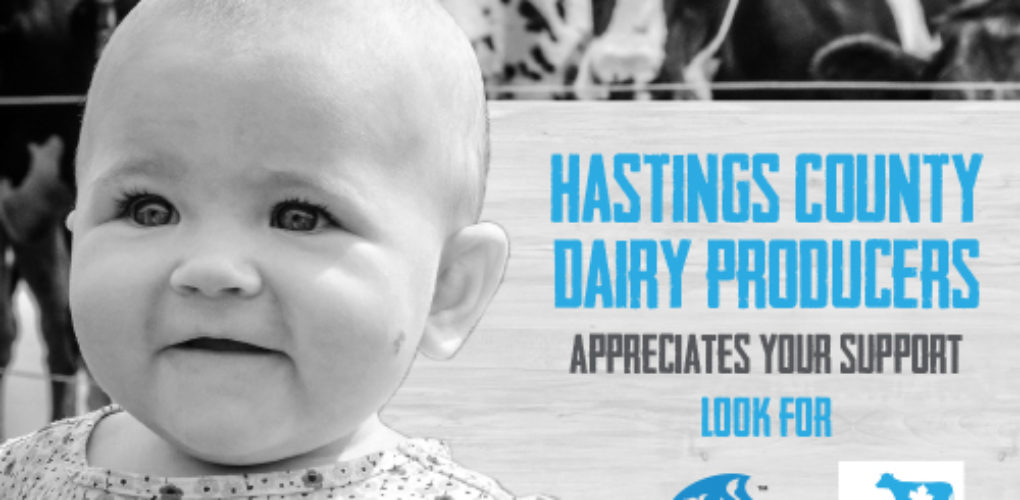 Hastings County Dairy